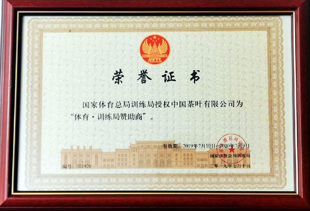 欧洲国家队备战大赛，冲击欧锦赛决赛牌位(欧洲国家队备战大赛,冲击欧锦赛决赛牌位是什么)